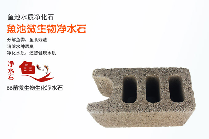 魚(yú)池凈水石