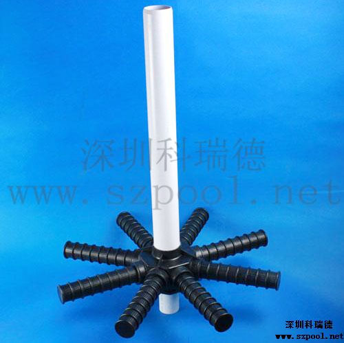 沙缸八爪魚(yú)